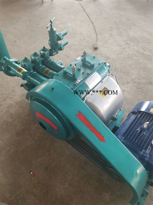 带柴油机型BW250泥浆泵 活塞水泥注浆泵 单缸泥浆泵图4