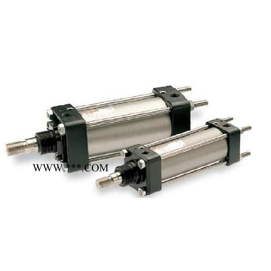 YOUXIN  TDA, TN 双活塞杆气缸图3