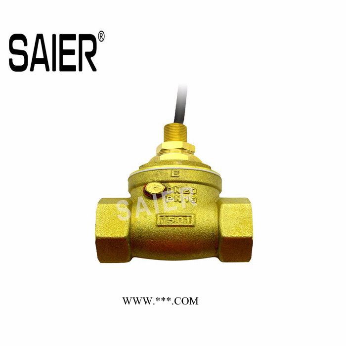 SEN/赛盛尔SEN-DB系列 可调档板式磁簧管控制水流开关 活塞式水流开关图3