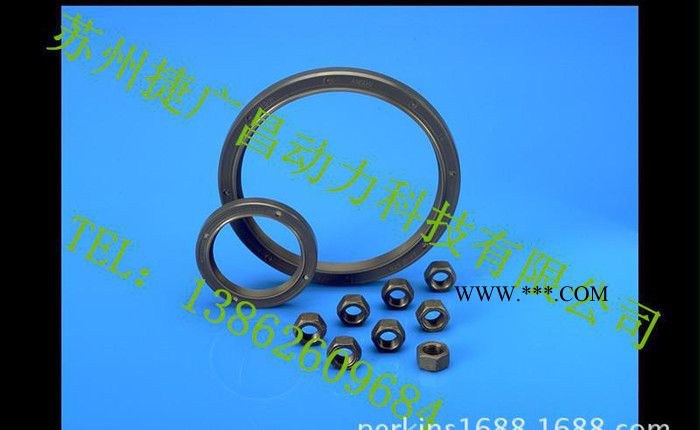 Perkins发动机前后曲轴油封图2