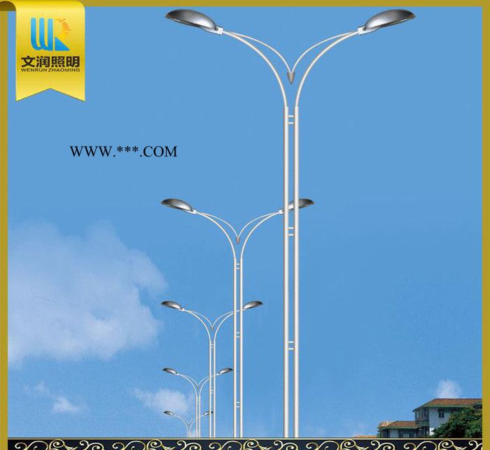 定制 城区厂区照明用双臂路灯 双连杆双臂路灯 量大从优 Q2图2