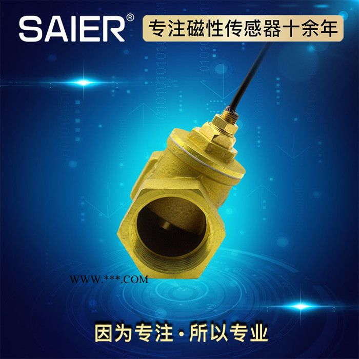 SEN/赛盛尔SEN-HS系列 活塞式水流开关 **图2