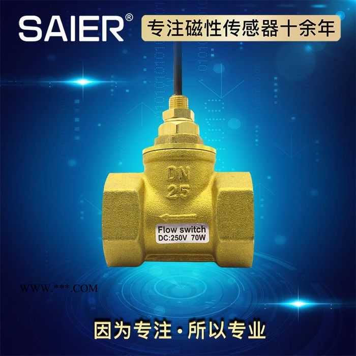 SEN/赛盛尔SEN-HS系列 活塞式水流开关 **图4