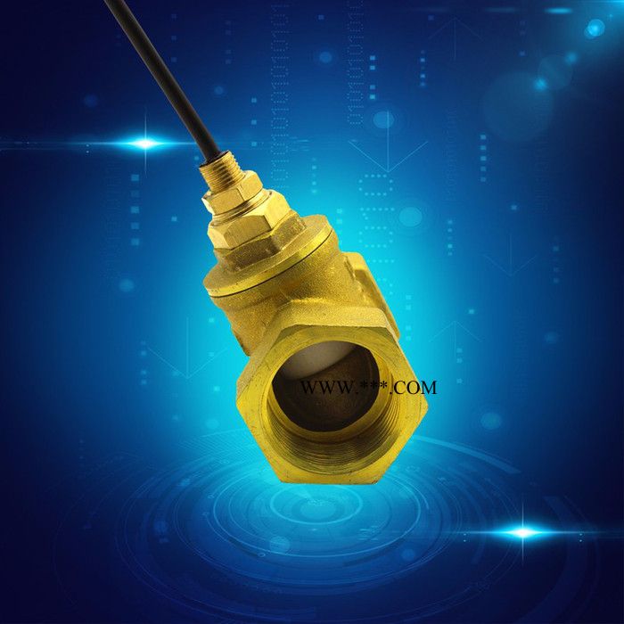 赛盛尔活塞式水流开关（SEN-HS系列） 干簧管原理水流开关  水泵断水保护水流开关图3