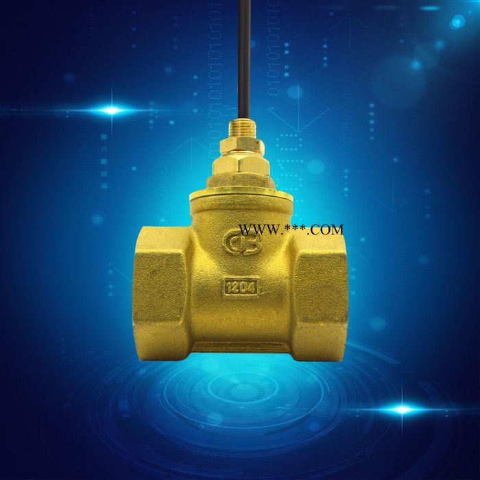 赛盛尔活塞式水流开关（SEN-HS系列） 干簧管原理水流开关  水泵断水保护水流开关图2