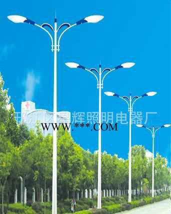 道路照明灯,9米双臂路灯，双连杆路灯扬州厂家生产**价廉图1