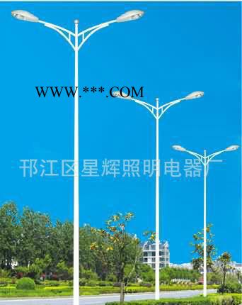 道路照明灯,9米双臂路灯，双连杆路灯扬州厂家生产**价廉图3