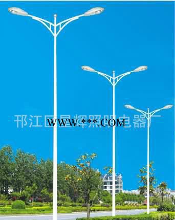 道路照明灯,9米双臂路灯，双连杆路灯扬州厂家生产**价廉图2
