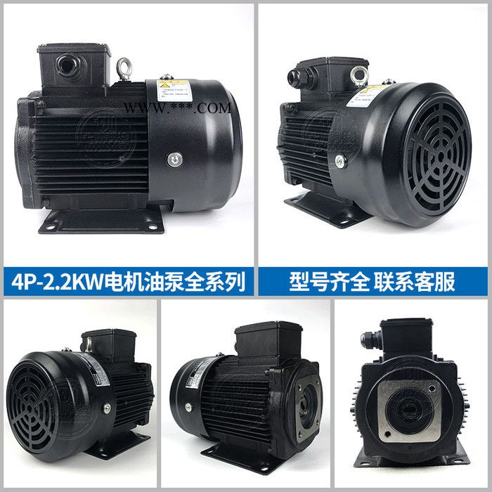 电机泵组NACHI电机4P-2.2KW 组合UVN-1A-1A2/UPV-0A-8N不二越电机油泵图4