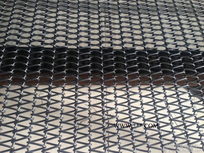 供应曲轴型不锈钢输送网带图3