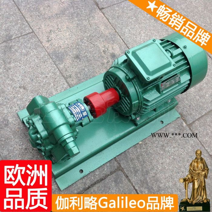 发动机高压油泵 柴油机输油泵 齿轮式机油泵 星拾图4