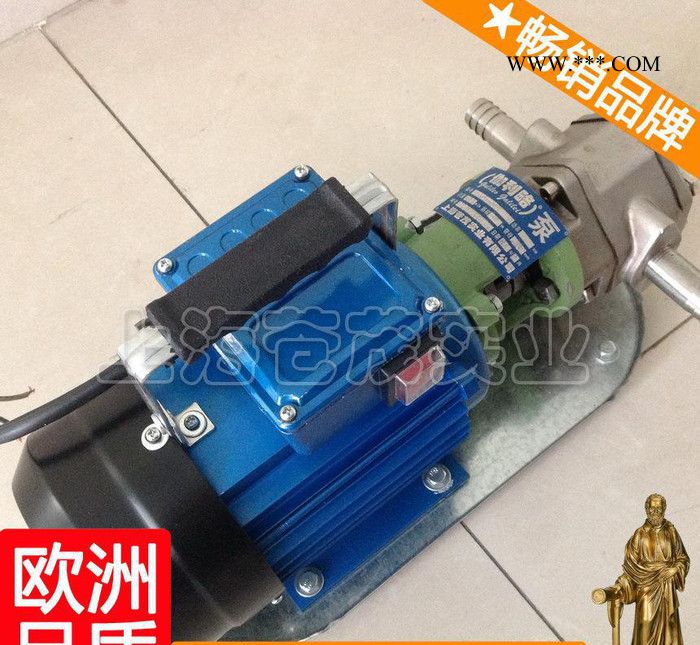 齿轮泵小流量 手提式齿轮油泵 微型机油泵 WCB周图3