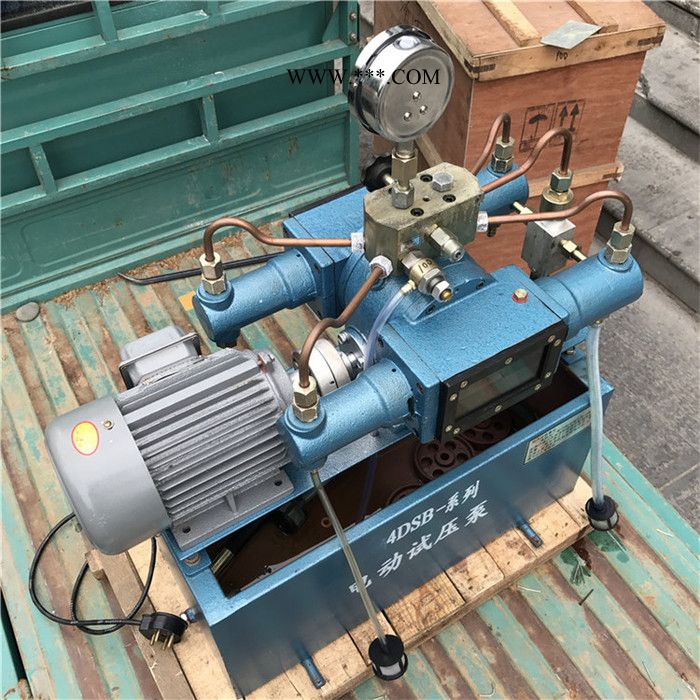 活塞式电动打压泵 4DSB（Y）电动试压泵 可调压的试压泵图5