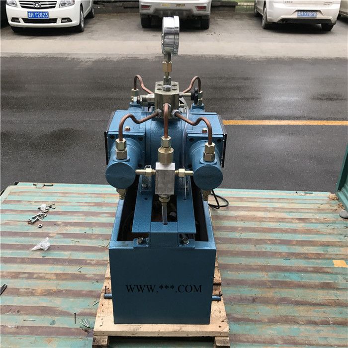 活塞式电动打压泵 4DSB（Y）电动试压泵 可调压的试压泵图4