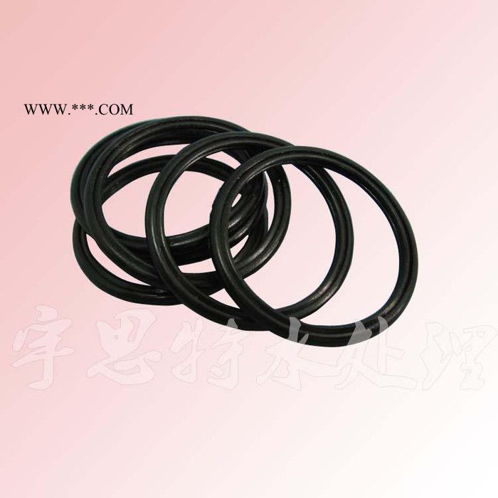 乌鲁木齐FLECK厂家富莱克多路控制阀密封圈 隔栅 活塞 吸盐阀 凸轮 流量计配件图3