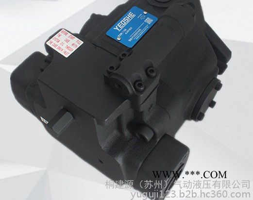 原装台湾油升YEOSHE柱塞泵V15A1R10X 油升注塑机油泵图3