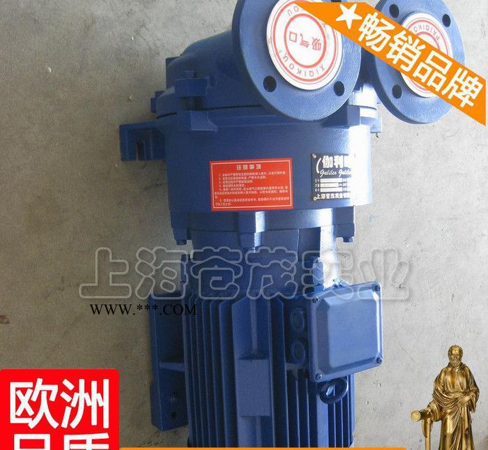 活塞真空泵 真空泵上海 真空泵70l 2BV吴图2