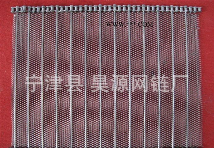 宁津专业网带厂生产曲轴型人字形网带  乙型不锈钢网带图2