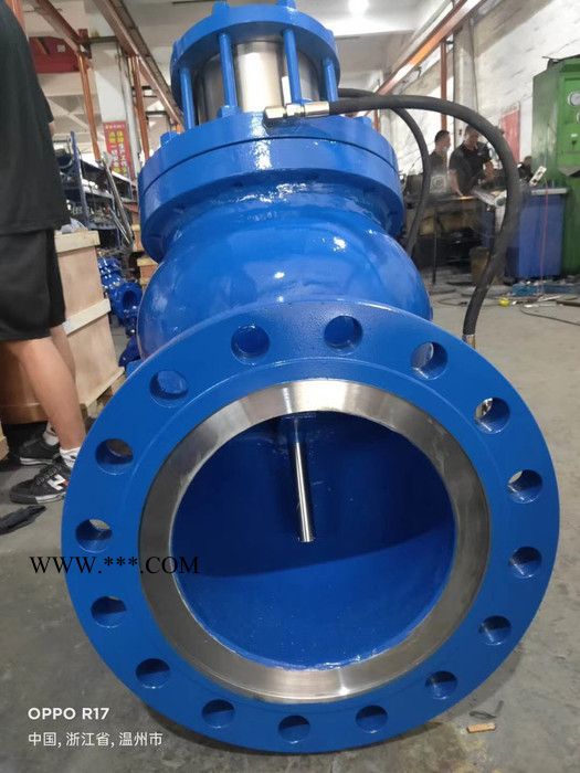 新博直销 JD745X多功能水泵控制阀 塞式多功能水泵控制阀 不锈钢活塞式水力控制阀 多功能水泵控制阀图3
