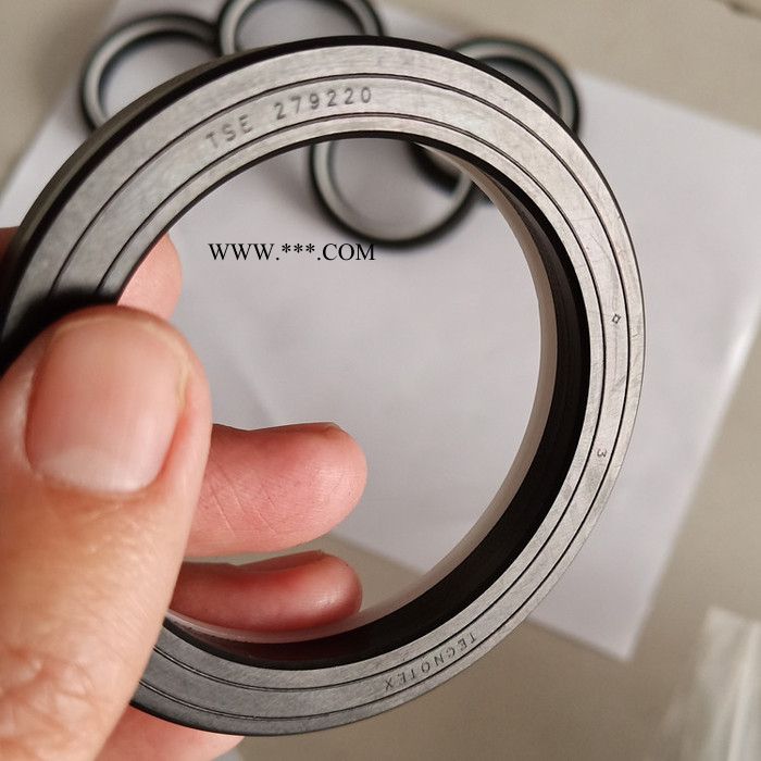 园润 液压缸回转油封密封件 旋转格莱圈密封件 活塞组合密封件 液压缸专用轴用密封件图6