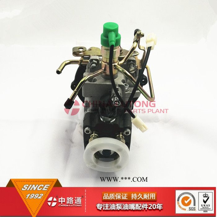 福建产南京VE泵NJ-VE4/11F1800L111五十铃柴油机油泵图2