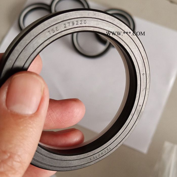 园润 活塞组合密封件 液压缸专用轴用密封件 液压缸回转油封密封件 旋转格莱圈密封件图7