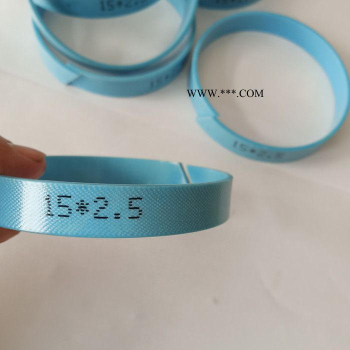 园润 加布导向环 四氟导向环 夹布导向环 活塞导向环  导向环耐磨环 加布油封图2