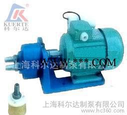 科尔达牌 齿轮输油泵 油泵 机油泵 微型齿轮泵 S-10图2