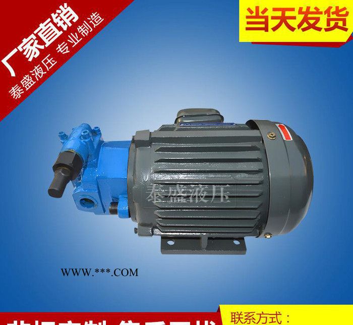 现货**BB-B80JZ内轴电机油泵装置 BB-B80JZ摆图2