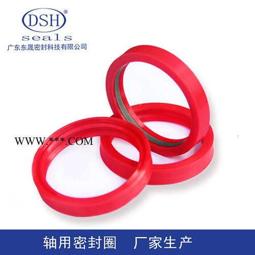 东晟DSH组合密封件液压油封 机械油缸活塞环 机械油封 聚氨酯油封 东晟密封圈 进口密封件 油缸密封圈 液压密封圈图2