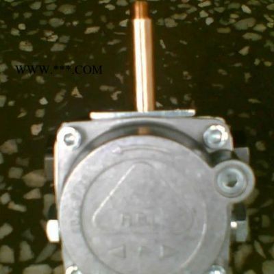 燃烧机油泵，抽油泵意大利威龙G10-20型液压顶杠(图)