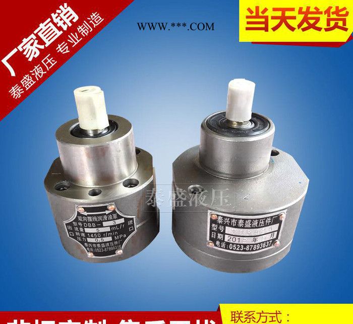 无泄漏R12-1润滑油泵  R12-1正向机油泵 小型润滑泵图2