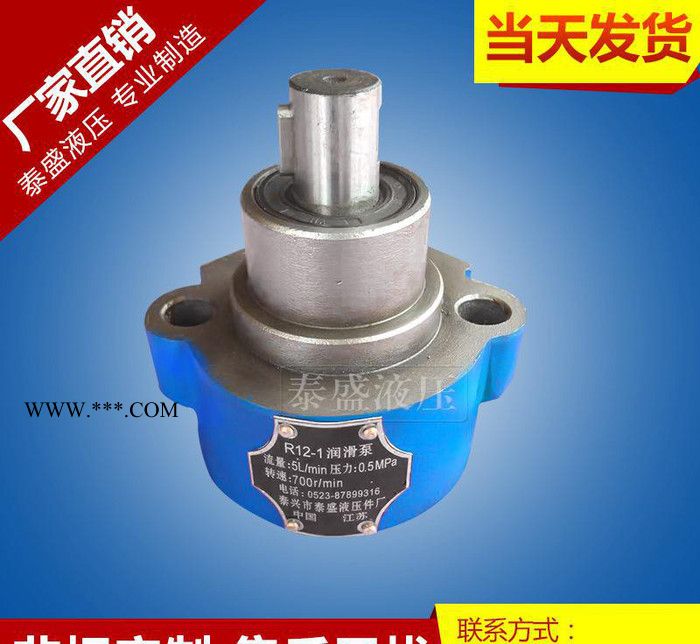 无泄漏R12-1润滑油泵  R12-1正向机油泵 小型润滑泵图3