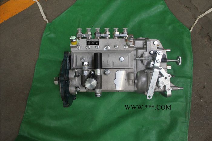 潍坊华东49541056105系列柴油机油泵高压泵配件华丰华东喷油器油头油嘴图2