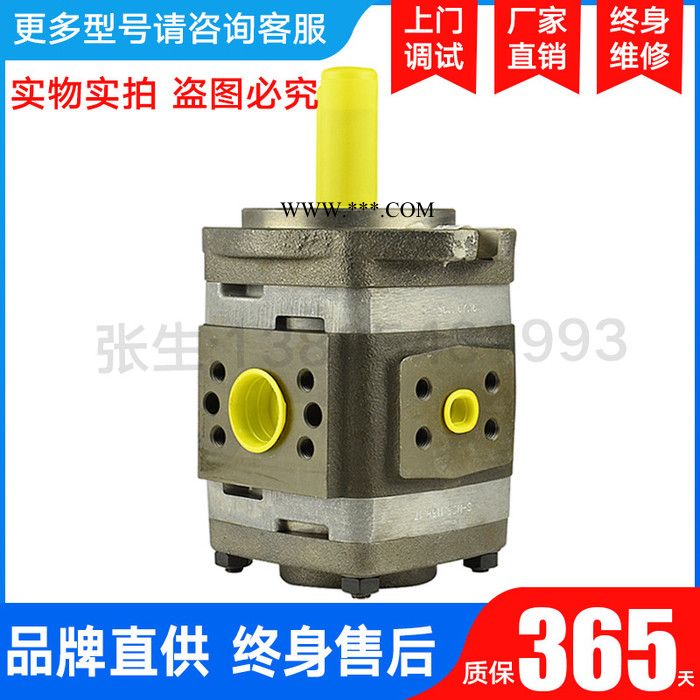 液压德国液压泵高压泵原装齿轮泵 IPVS 3/4/5/6/7 注塑机油泵福伊特VOITH液压泵高压液压泵IPC/IPVP图2