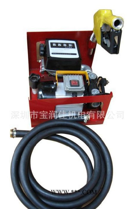 12V 220V电动简易计量加油机油泵 电动油泵 油泵 电动