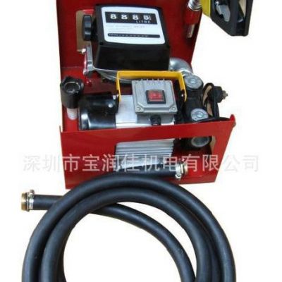 12V 220V电动简易计量加油机油泵 电动油泵 油泵 电动