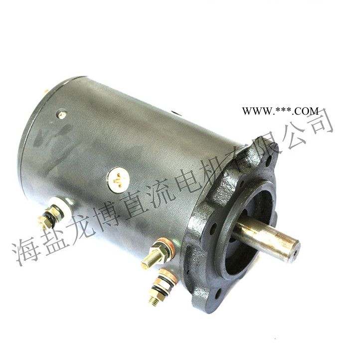 龙博HY61040有刷直流电机油泵 液压 动力单元 电机