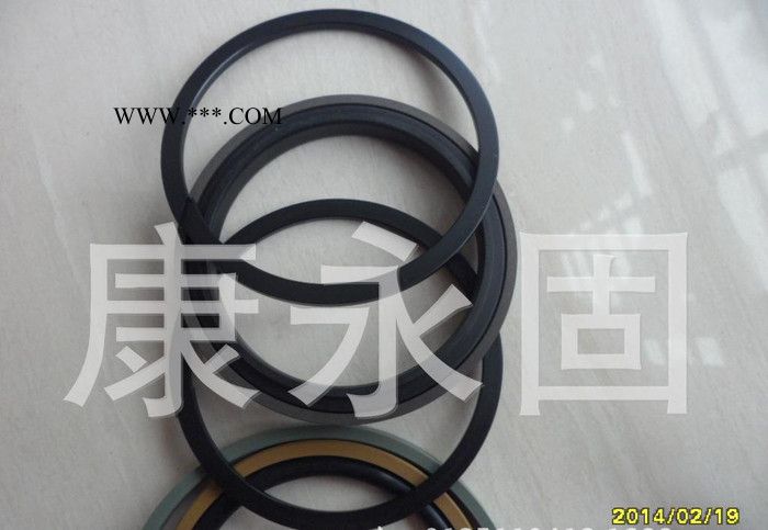 SPGW型密封件 活塞密封件 NOK双向活塞密封圈SPGW图2