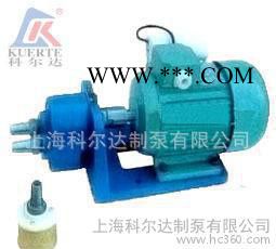 科尔达品牌 小型齿轮油泵 齿轮输油泵 油泵 柴油泵 机油泵 S-50图2