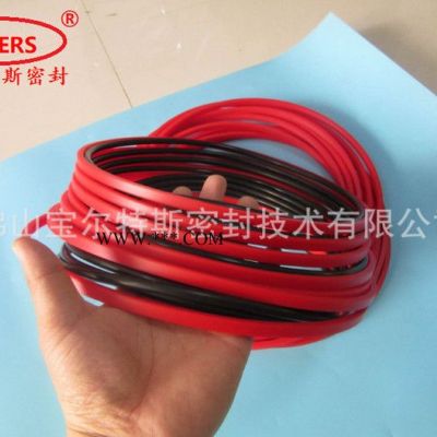 活塞孔用格莱圈