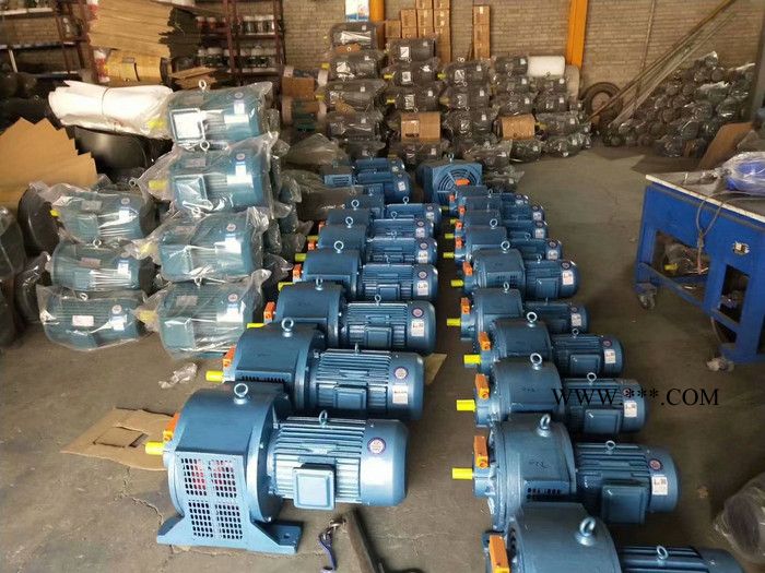 力丰供应TPN100系列燃烧机油泵图7