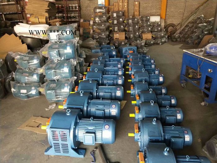 力丰供应TPN100系列燃烧机油泵图3