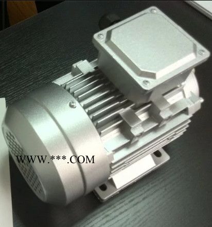 力丰供应TPN100系列燃烧机油泵图4