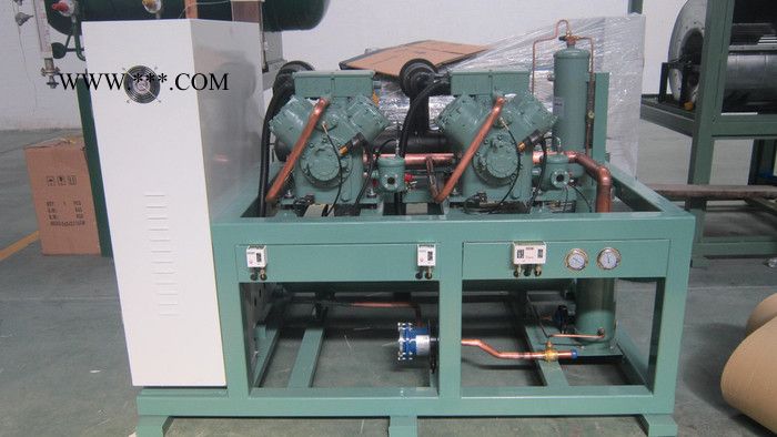 凯来利活塞并联机组图2