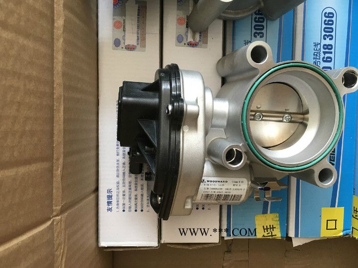 众创6945-5039节气门图2