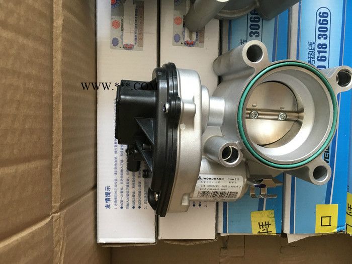 众创6945-5039节气门图3