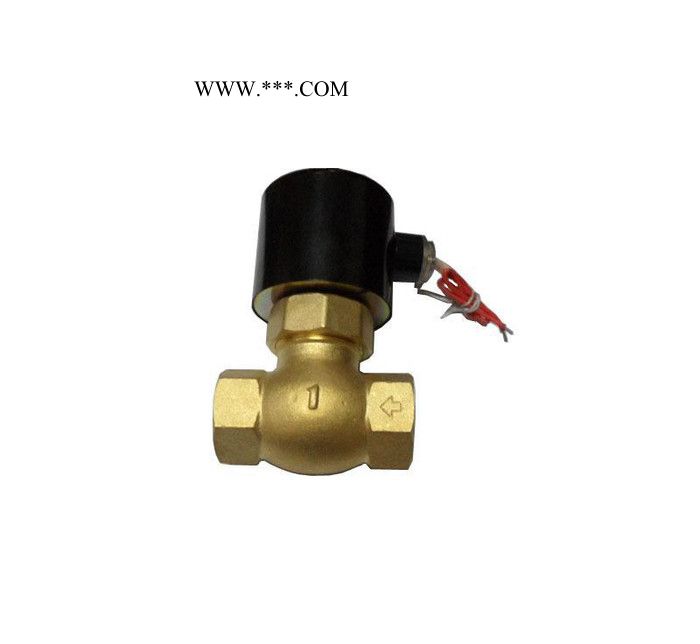 先导式活塞式蒸汽电磁阀图2