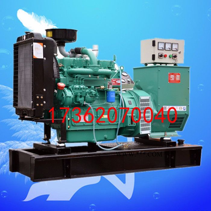 英峰动力40KW柴油发电机组带涡轮增压器，华岳K4100ZD柴油机，作备用电源用图2