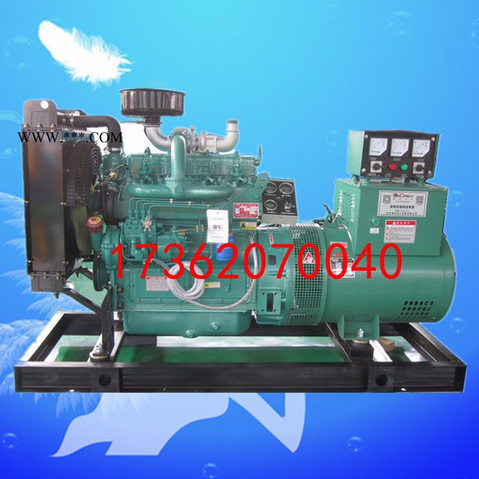 英峰动力40KW柴油发电机组带涡轮增压器，华岳K4100ZD柴油机，作备用电源用图5
